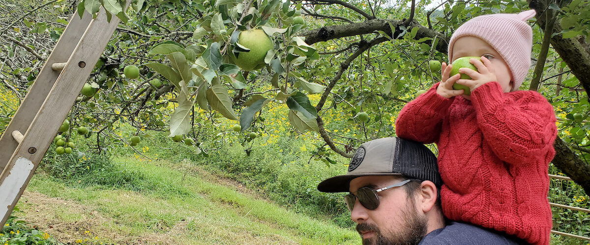 Child on father's shoulders eating an apple