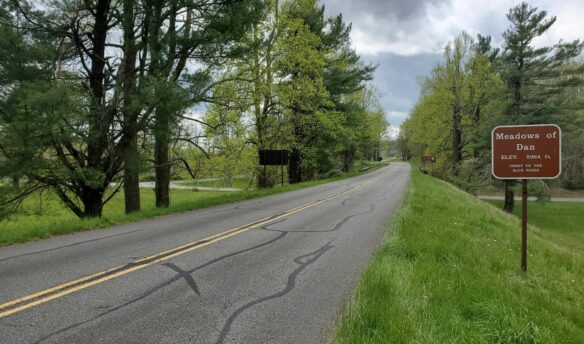 paved road with green trees