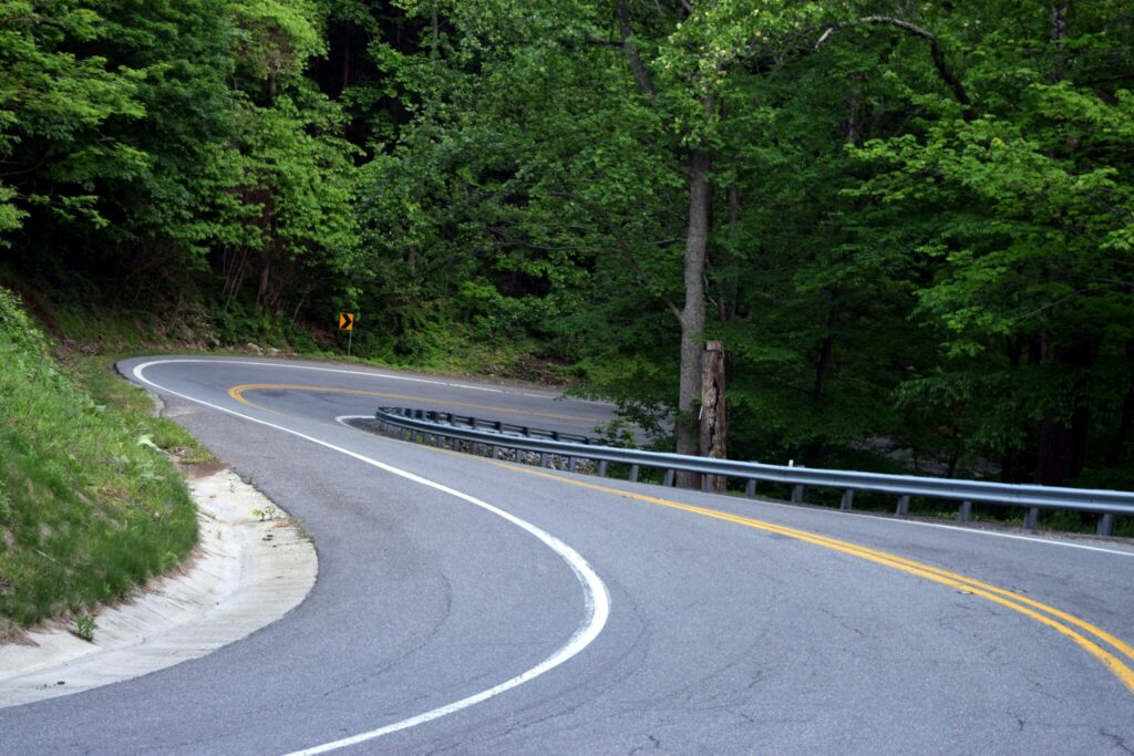 Winding road through green trees